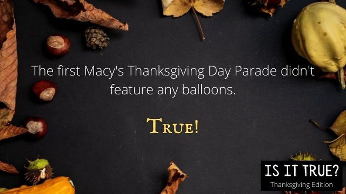 Is It True Thanksgiving Edition image number null